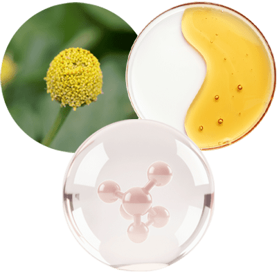 Icono Spilanthol 50, liposomas de retinol y péptidos dermosens